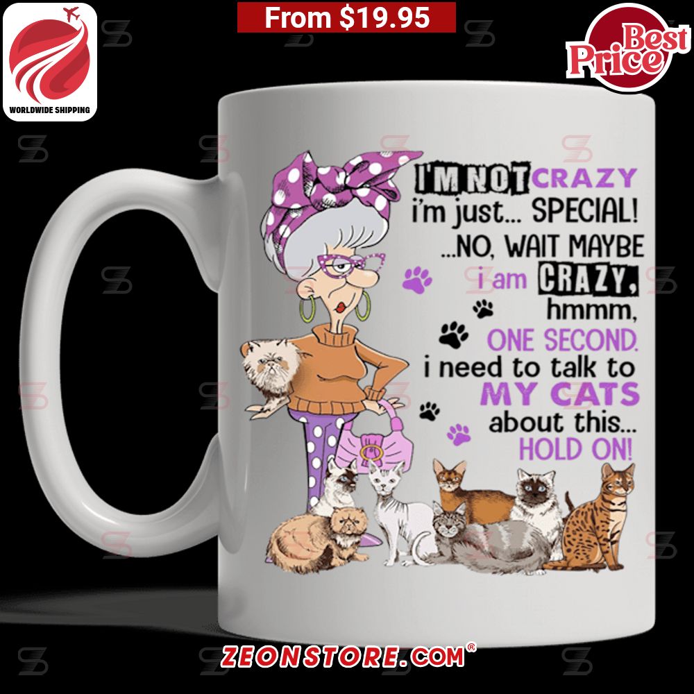 I'm Not Crazy I'm Just Special No Wait Maybe Crazy One Second I Need to Talk to My Cats About This Hold On Mug