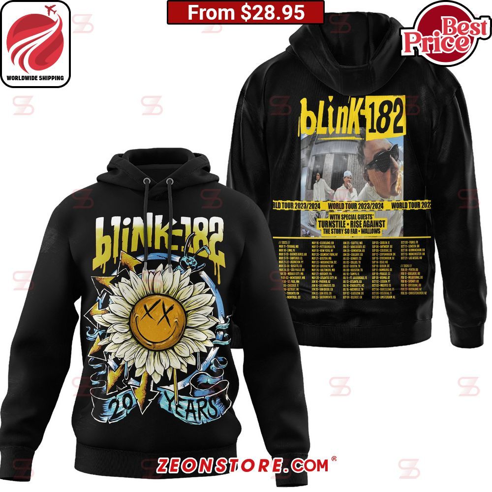 blink 182 20th anniversary tour hoodie 1 96.jpg